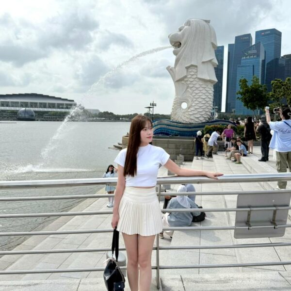 Tiana Wool Pleated A Line Skirt <i class="fa-regular fa-pen-to-square" style="color: #FFD43B;"></i>